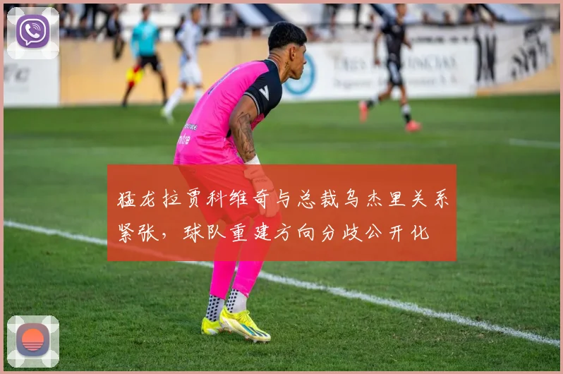 猛龙拉贾科维奇与总裁乌杰里关系紧张,球队重建方向分歧公开化
